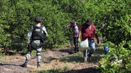 SEDENA VIGILA MICHOACAN, PROTEGEN A LIMONEROS DEL CO