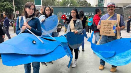 ¡LLEGARÁN BALLENAS A PALACIO NACIONAL!