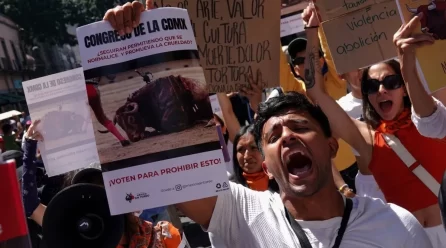 CDMX A UN PASO DE PROHIBIR CORRIDAS DE TOROS